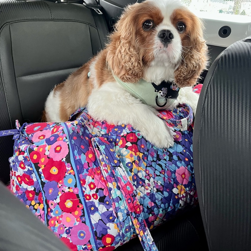 Flowery Vera Bradley Duffle Travel Bag